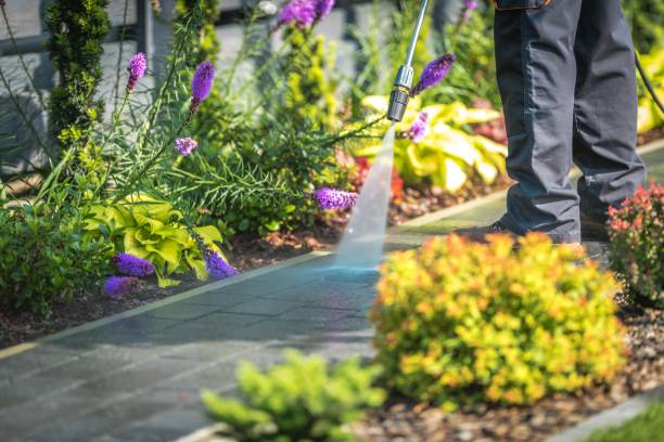 Trusted Laurel Hollow, NY  Pressure Washing Services Experts