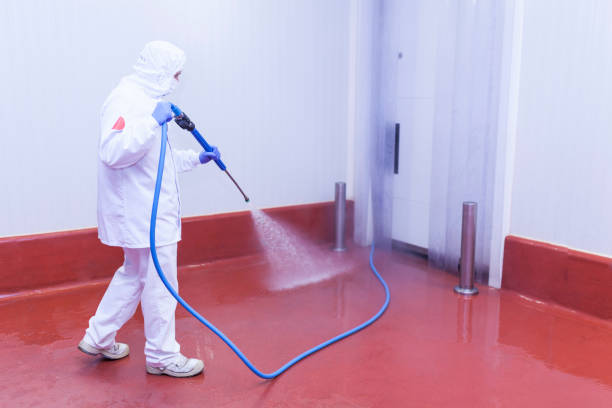 Spring Cleaning in Laurel Hollow, NY
